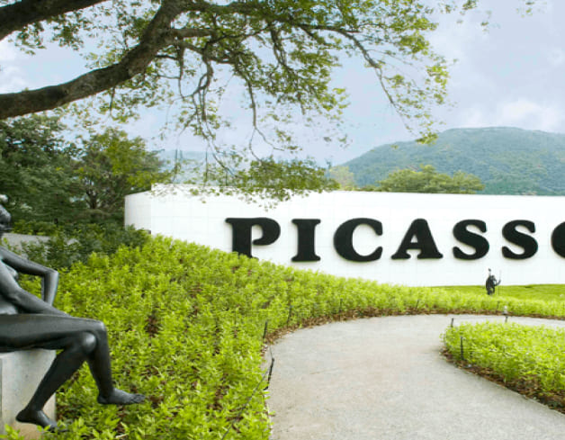 PICASSO展